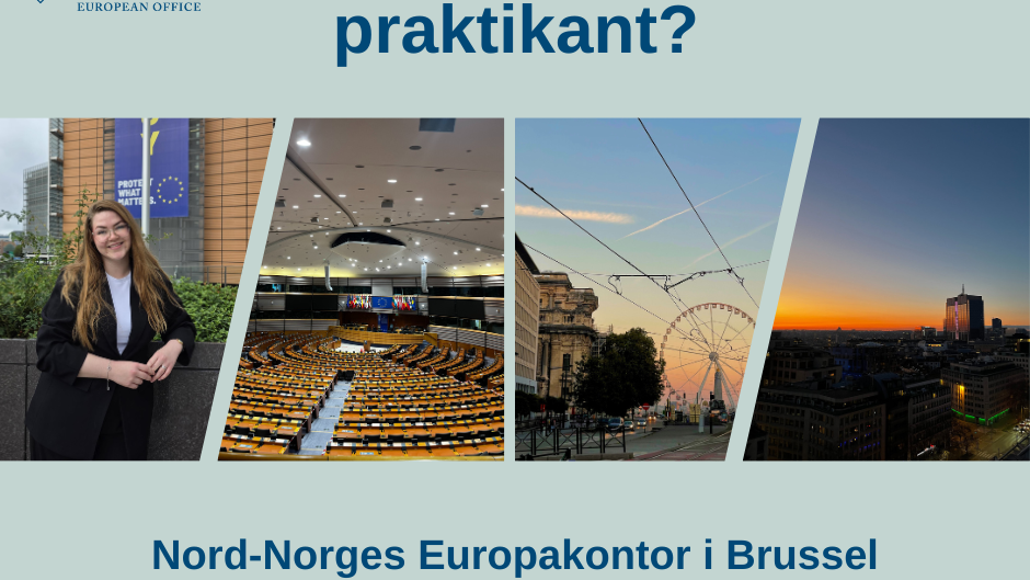 Lenke til artikkel: Nord-Norges Europakontor i Brussel søker studentpraktikant